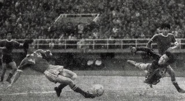 1635928485366082060.jpg 2.jpg